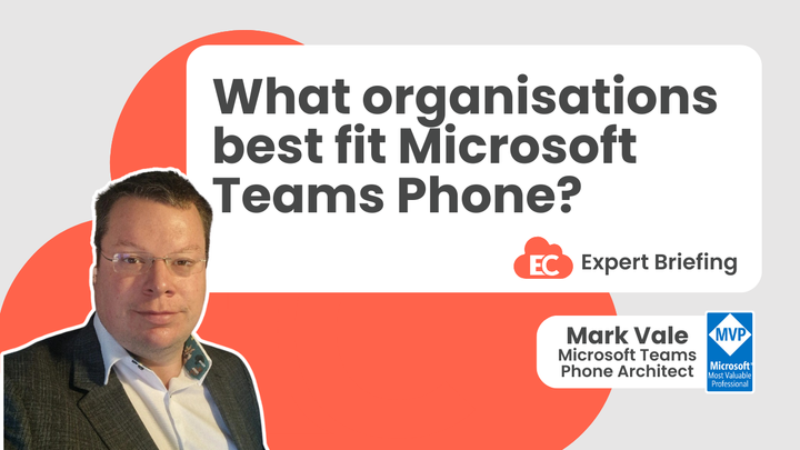What organisations best fit Microsoft Teams Phone?