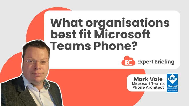 What organisations best fit Microsoft Teams Phone?